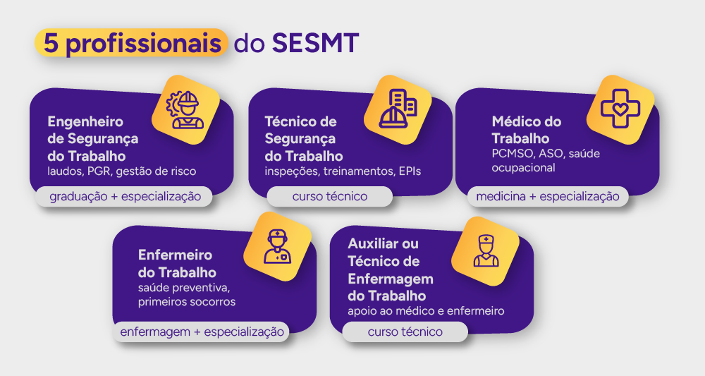 Infográfico dos 5 profissionais do SESMT