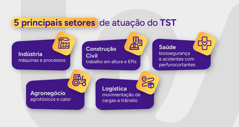 Infográfico com os 5 principais setores de atuação do TST.