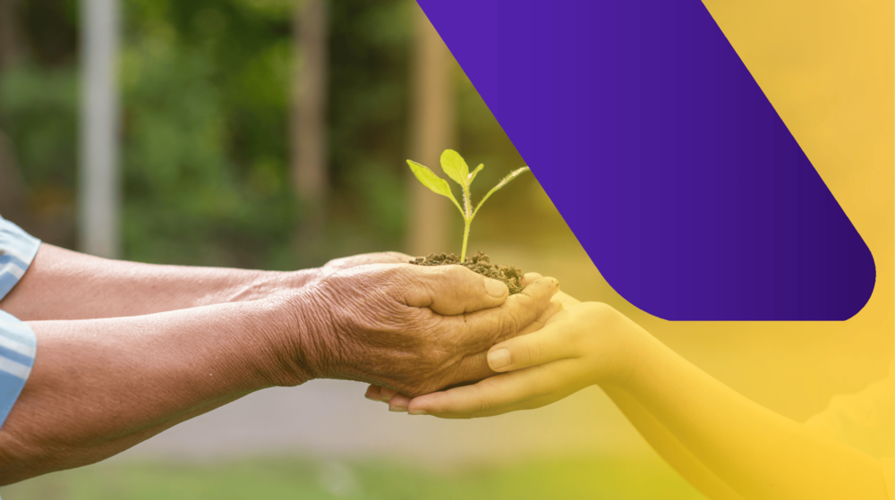 5 de junho dia mundial do meio ambiente​
